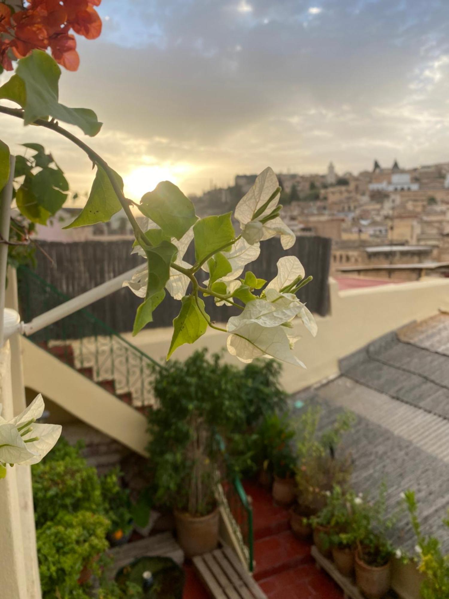Riad Taj Salma Fès Extérieur photo